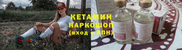 гидра Бородино
