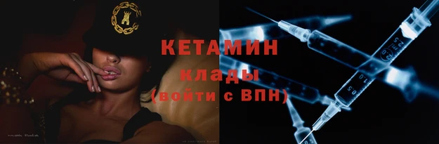 гидра Бородино