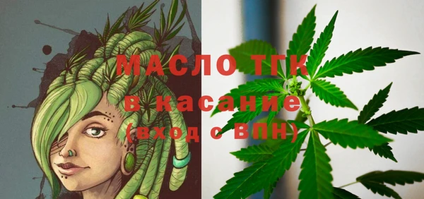 гидра Бородино