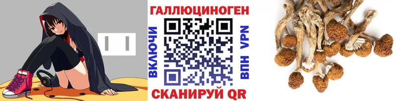 Псилоцибиновые грибы мицелий  Верхний Уфалей 