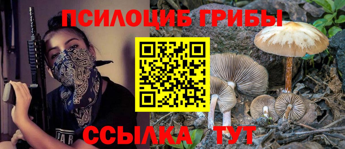 Верхний Уфалей  Псилоцибиновые грибы мицелий  Вход с VPN 