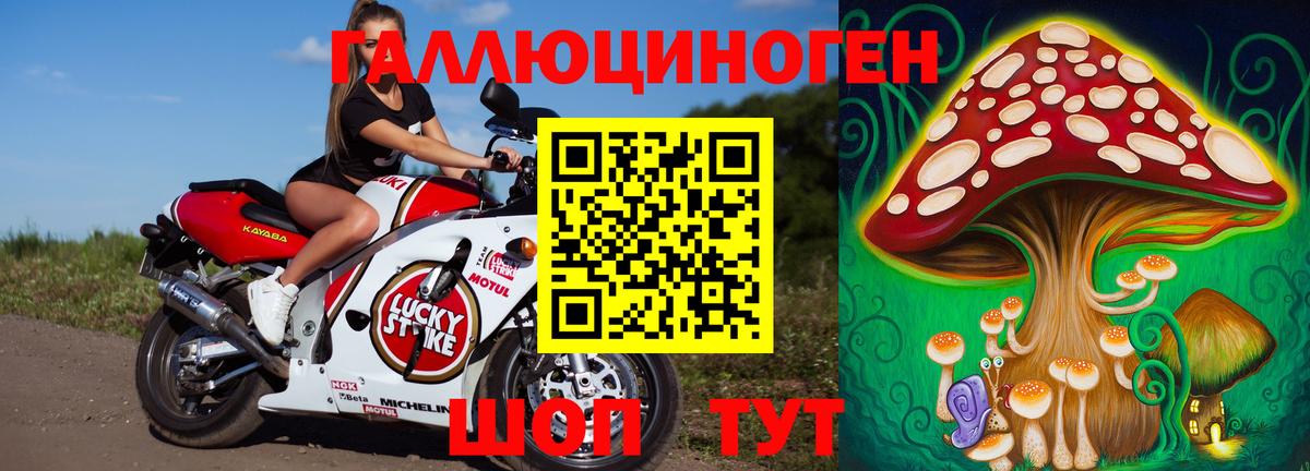 Галлюциногенные грибы Psilocybine cubensis Верхний Уфалей
